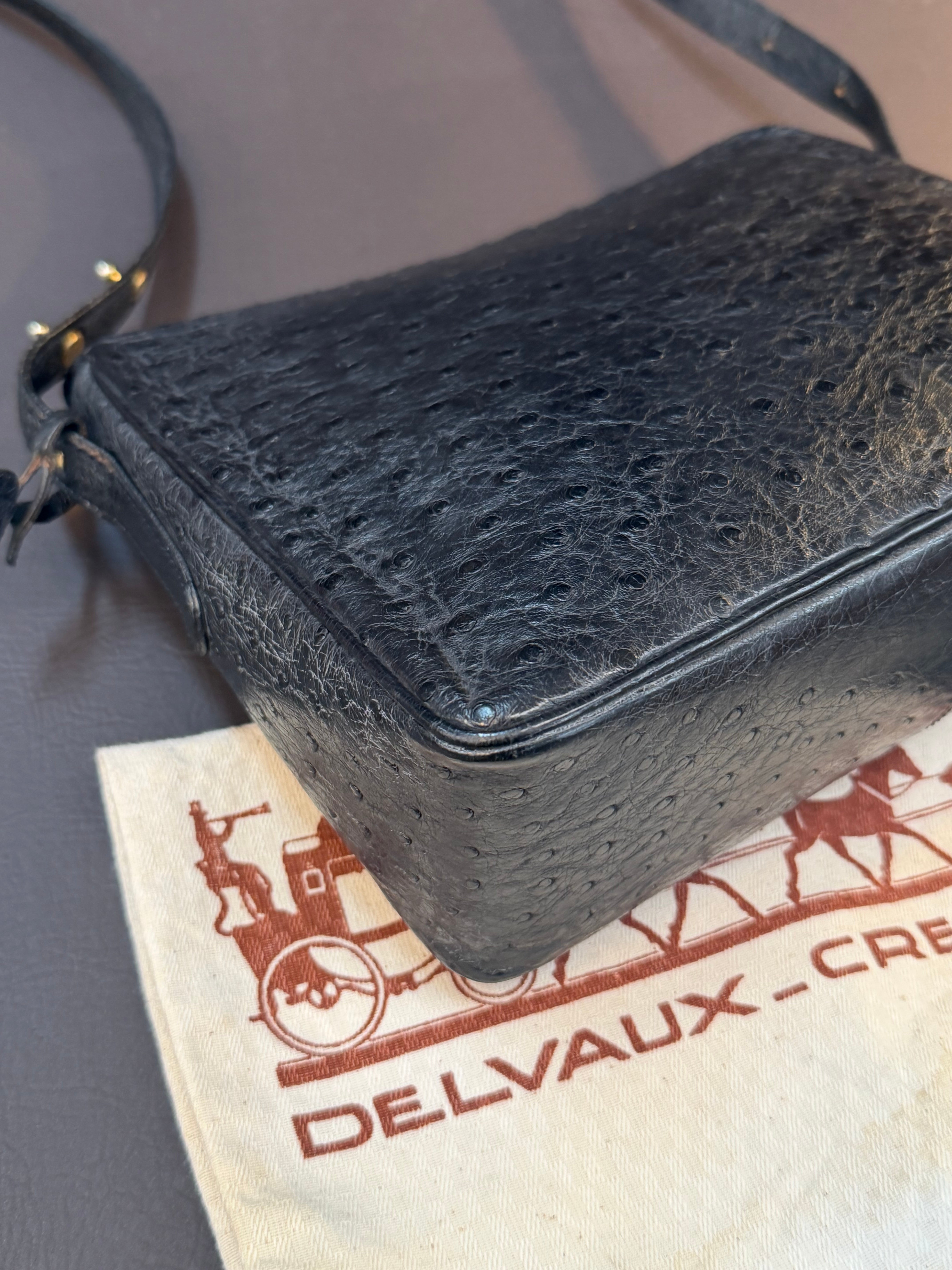 Delvaux Poirier Crossbody Bag – Ostrich Leather – Black – 26 x 20 cm