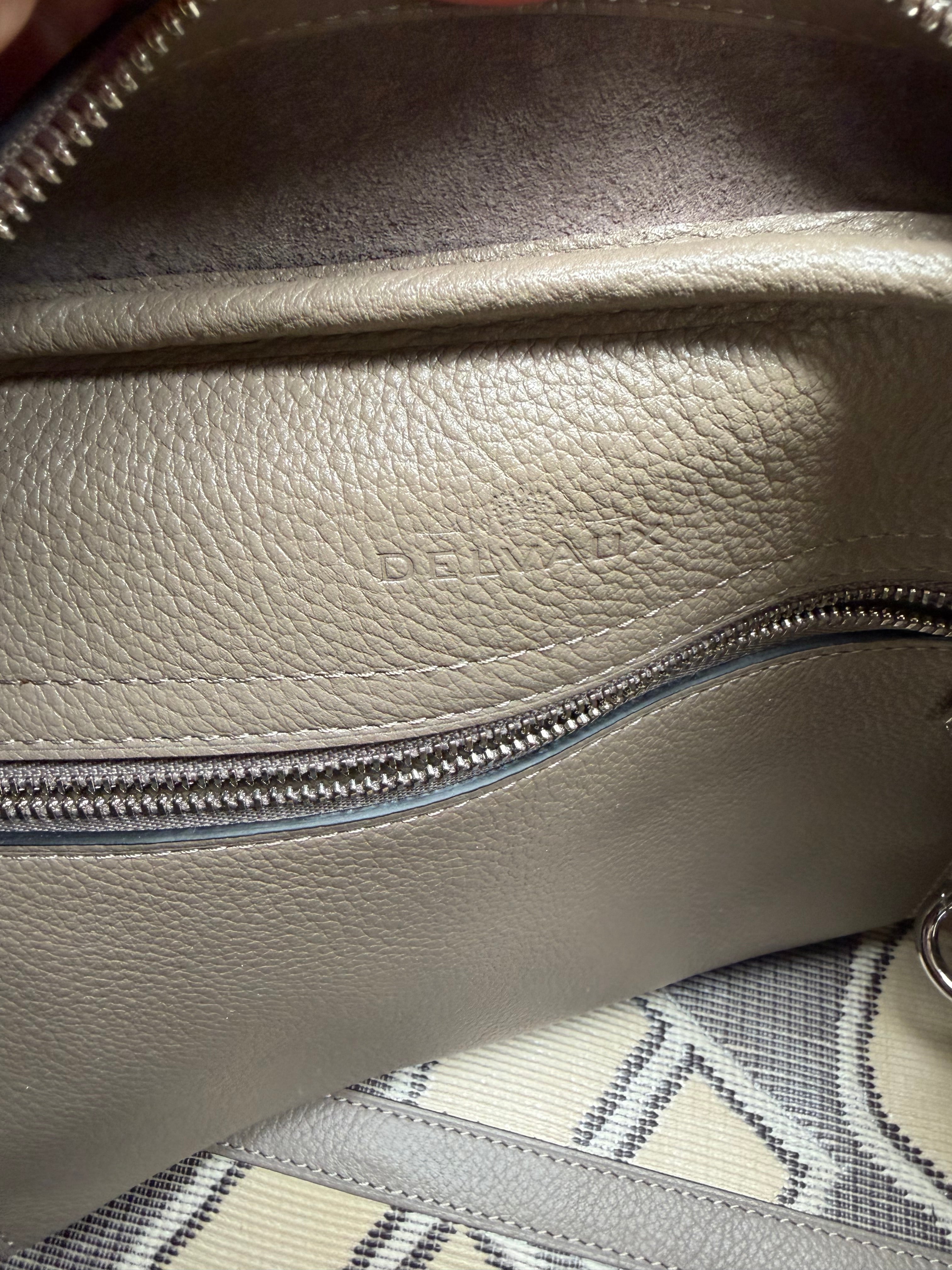 Delvaux Carry-All Mini Toile Logotypée D Travel Tourterelle – New with Certificate, Dust Bag & Mirror