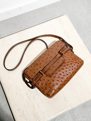Delvaux Crossbody Tas – Echt Struisvogelleer (Autruche)
