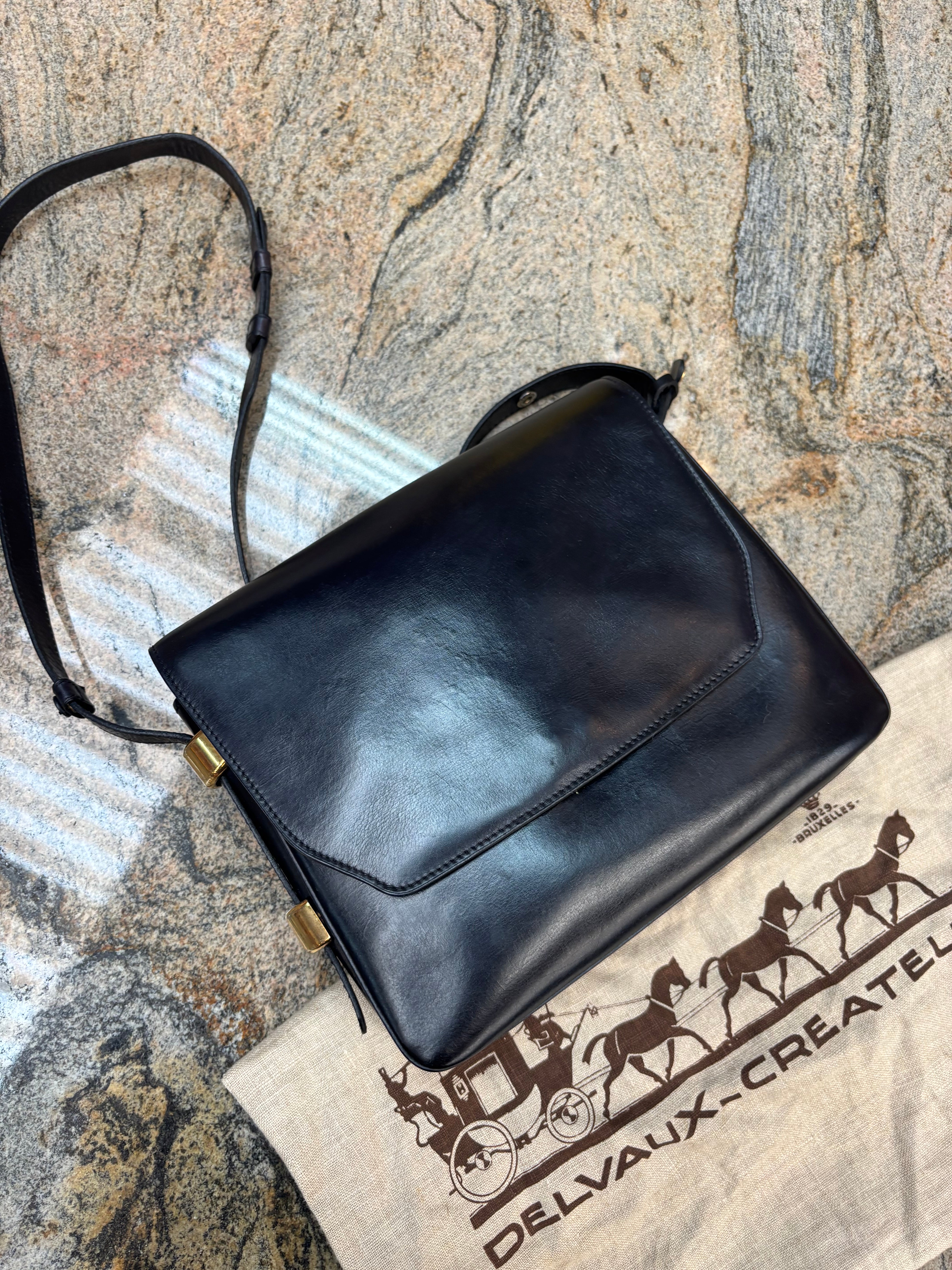 Sac bandoulière Delvaux