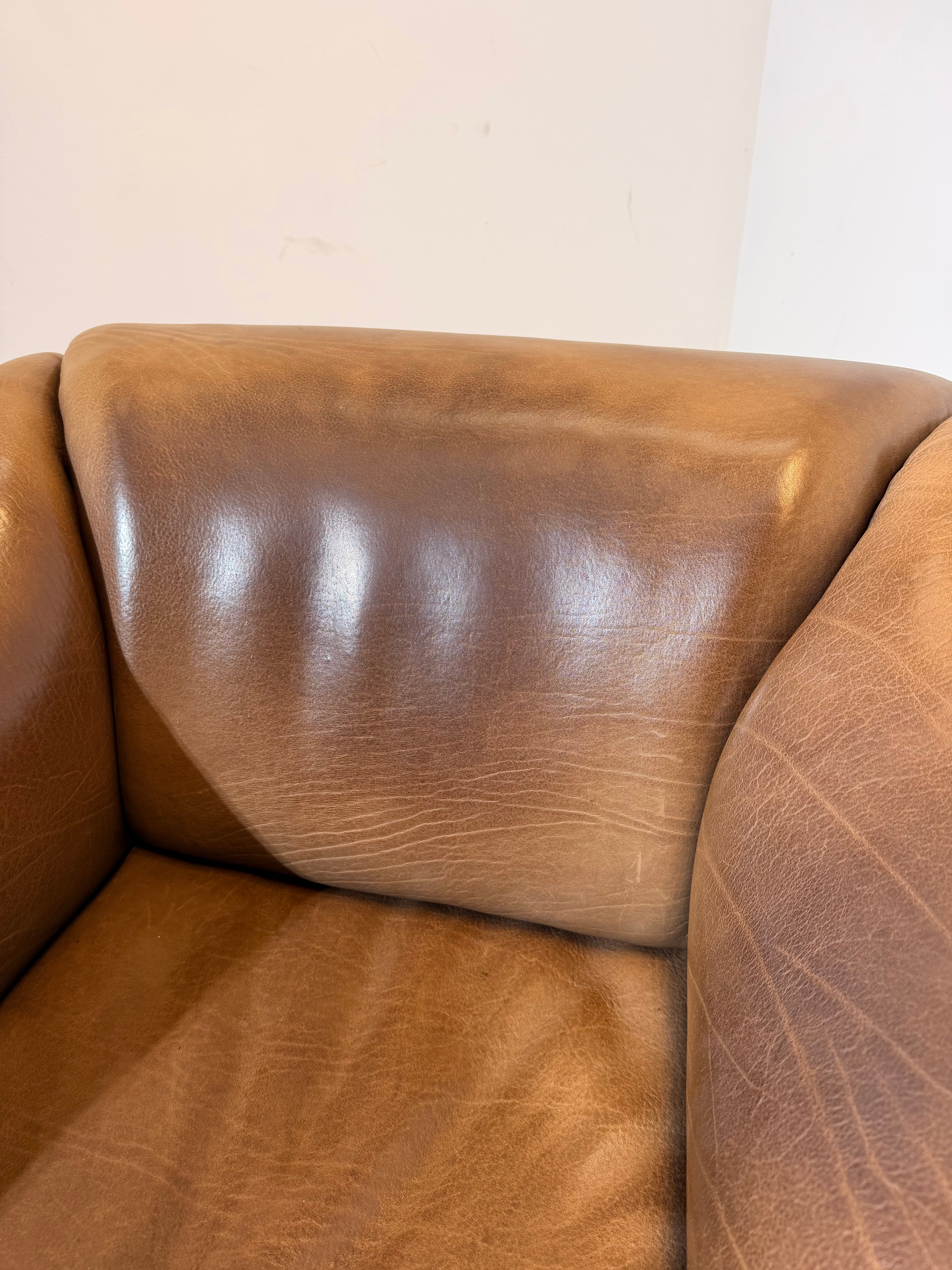De Sede DS-47 Vintage Neck Leather Lounge Chair with Ottoman