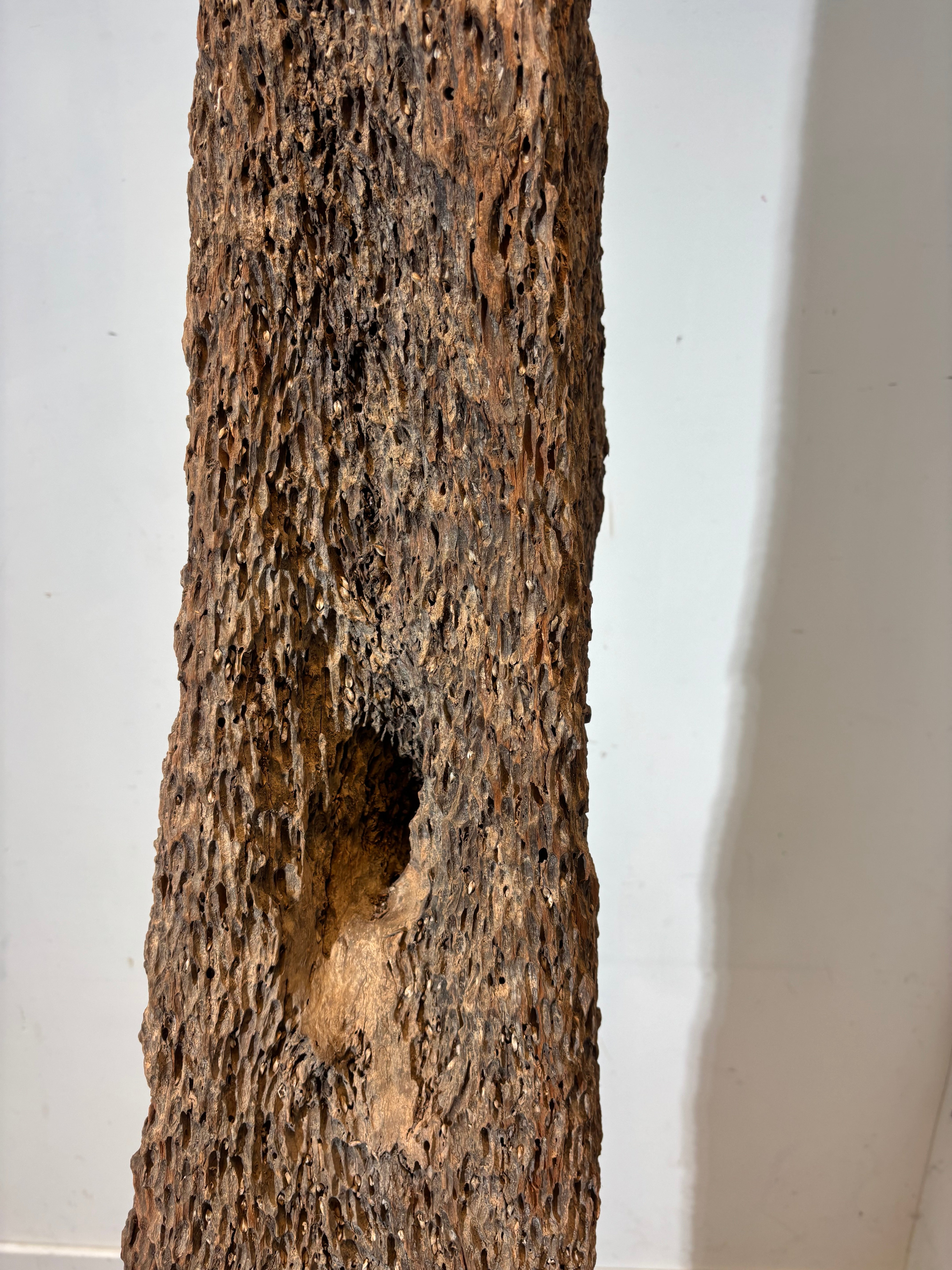 Decoratie voor het huren van een houten oester