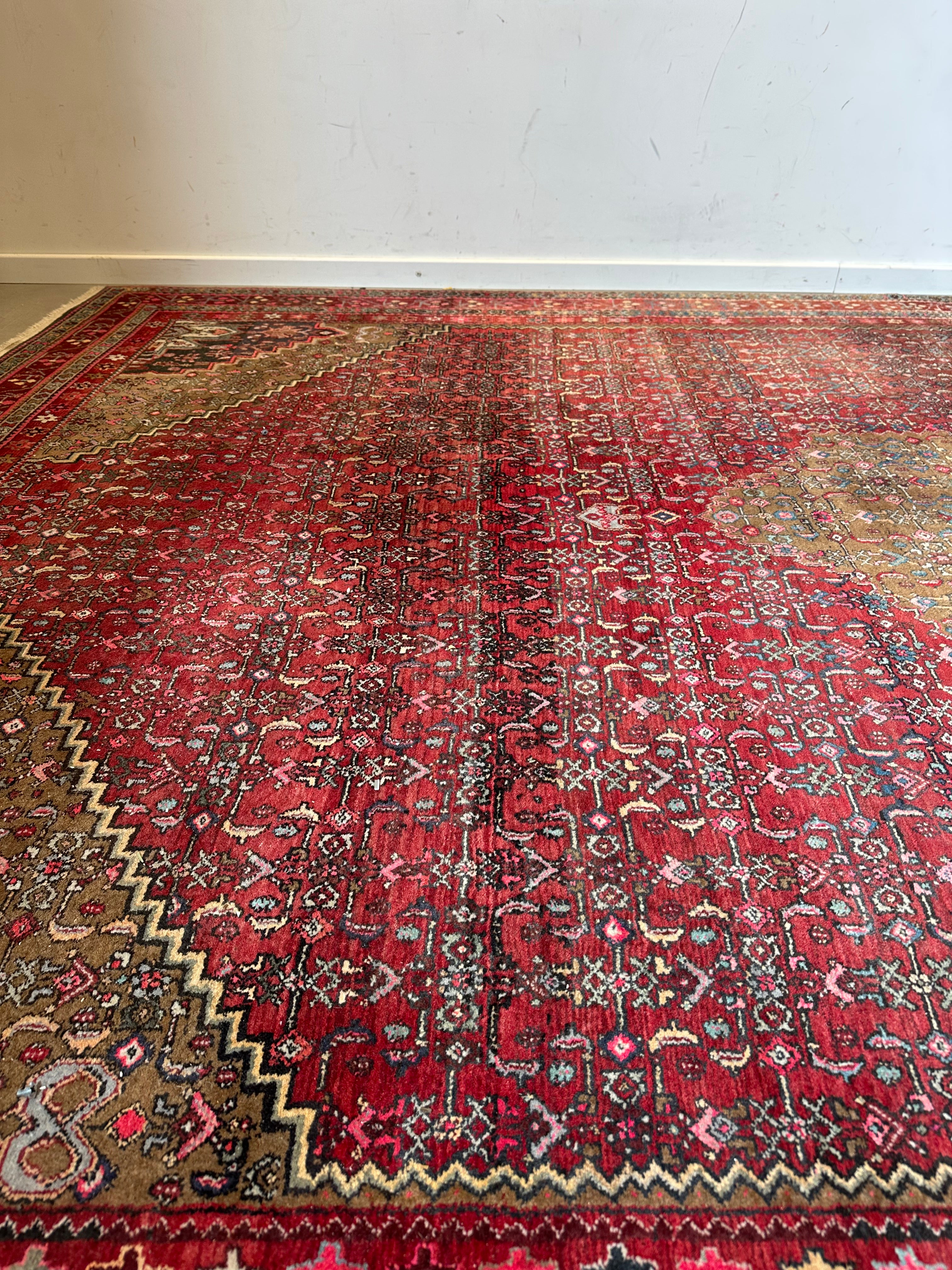 Large Hand-Knotted Oriental Rug - With Certificate