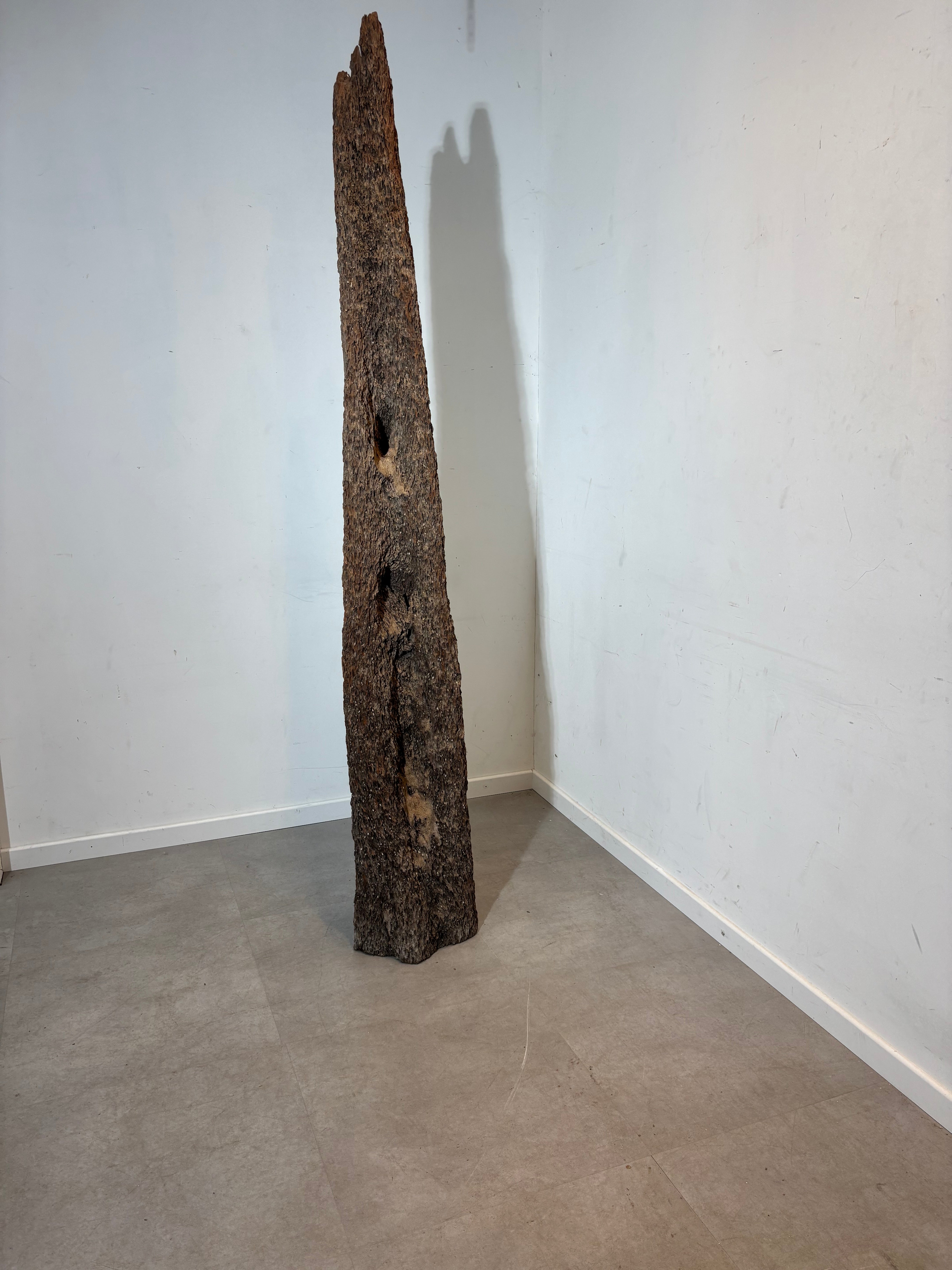 Decoratie voor het huren van een houten oester