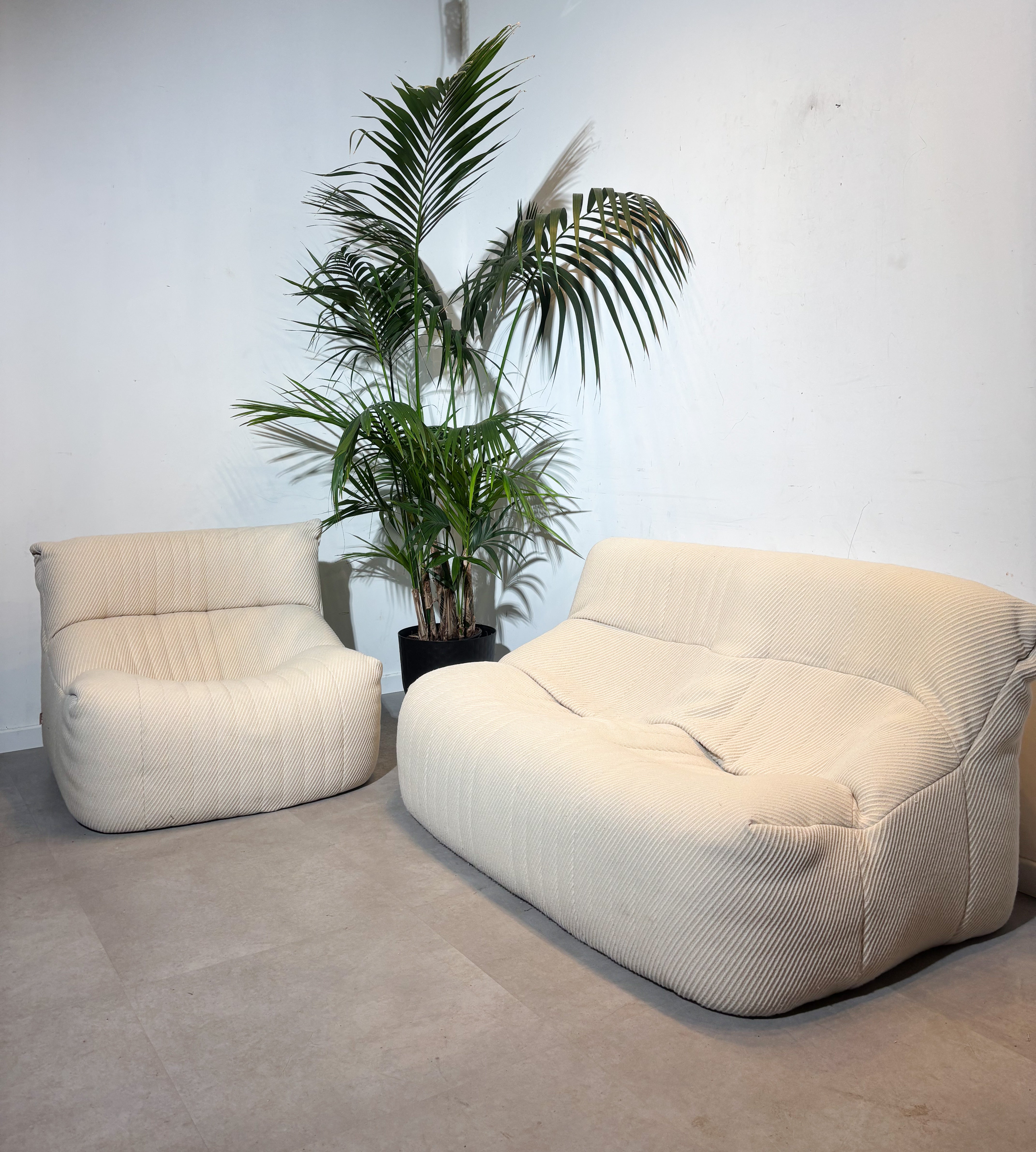 Ligne Roset “Aralia” Sofa Set Designed by Michel Ducaroy