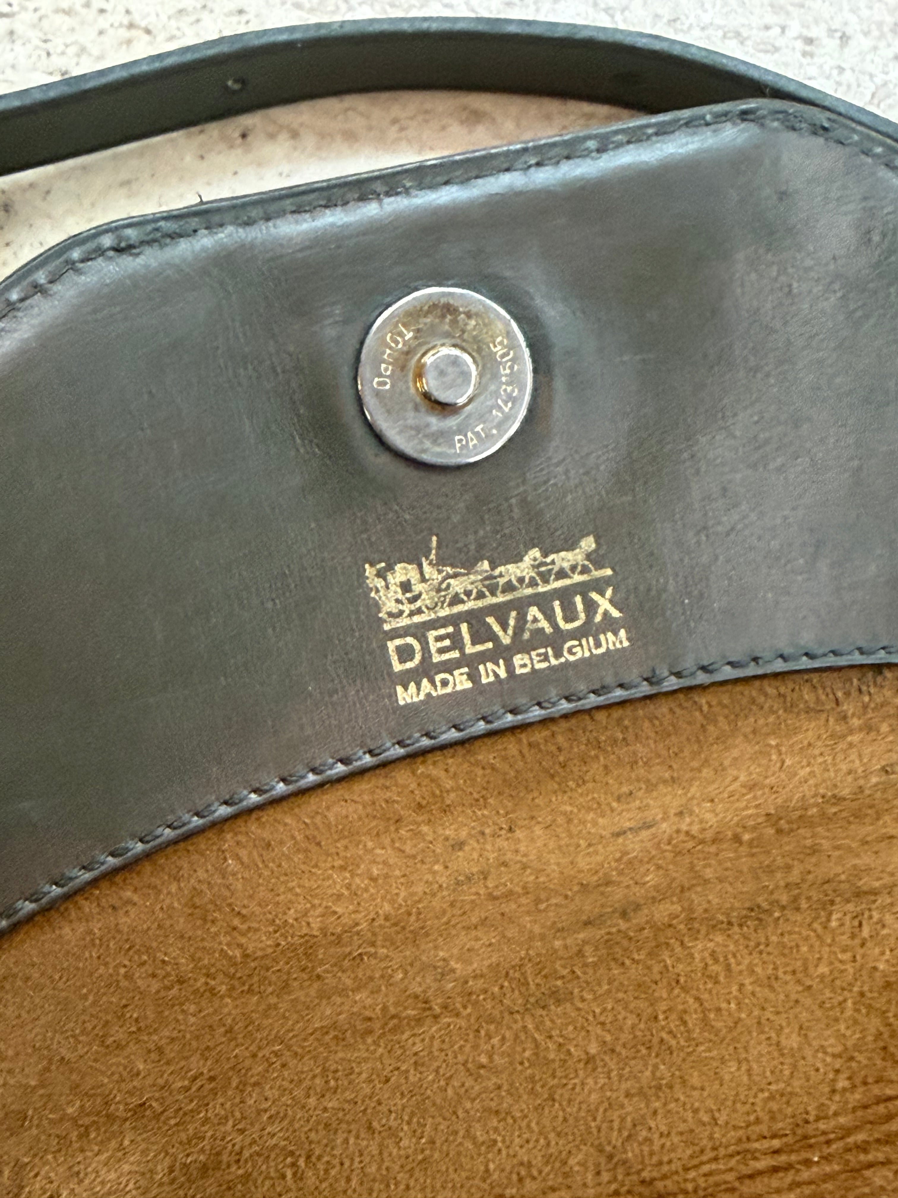 Delvaux Radieux Leather Crossbody Bag – Dark Green