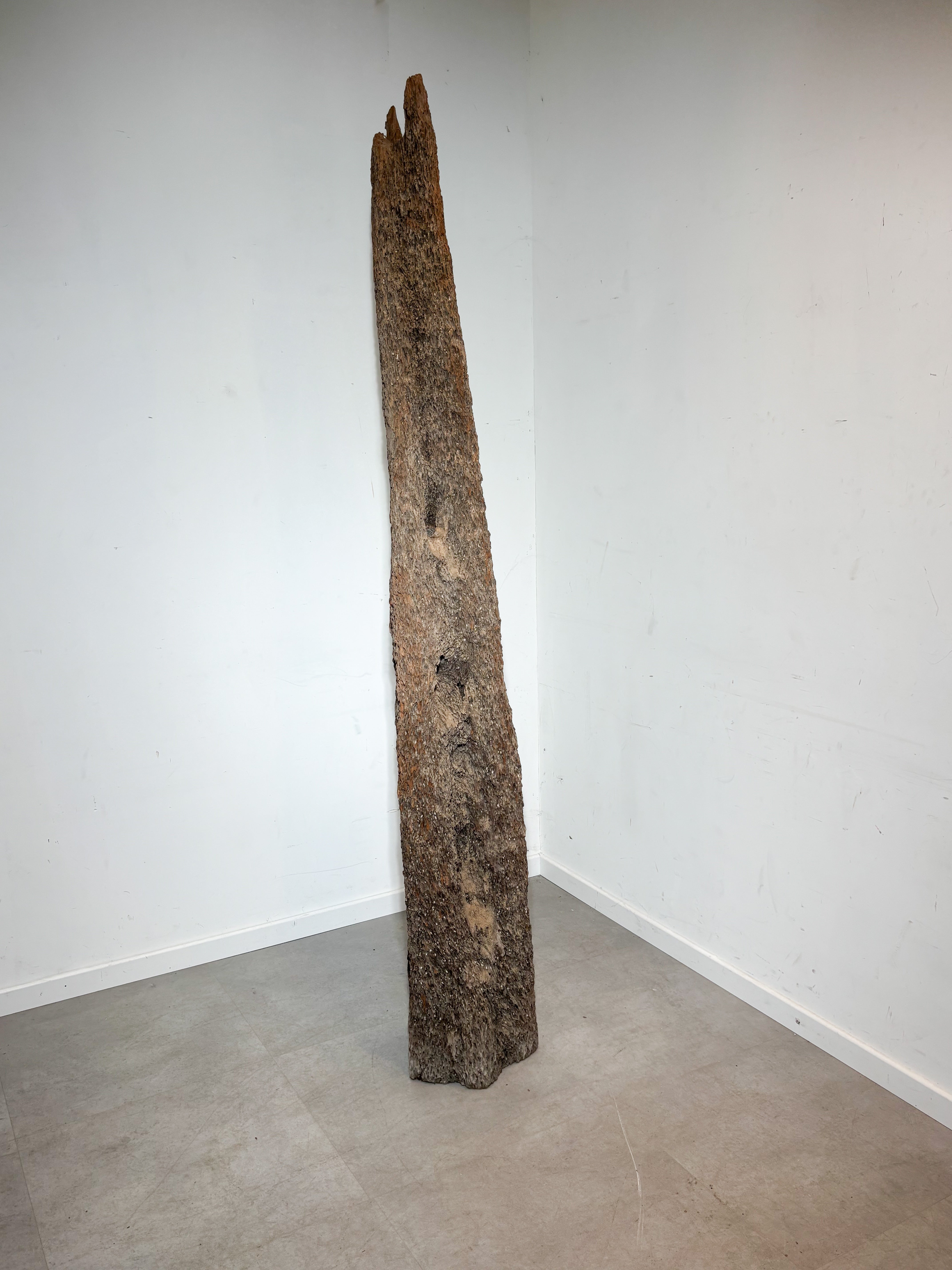 Decoratie voor het huren van een houten oester