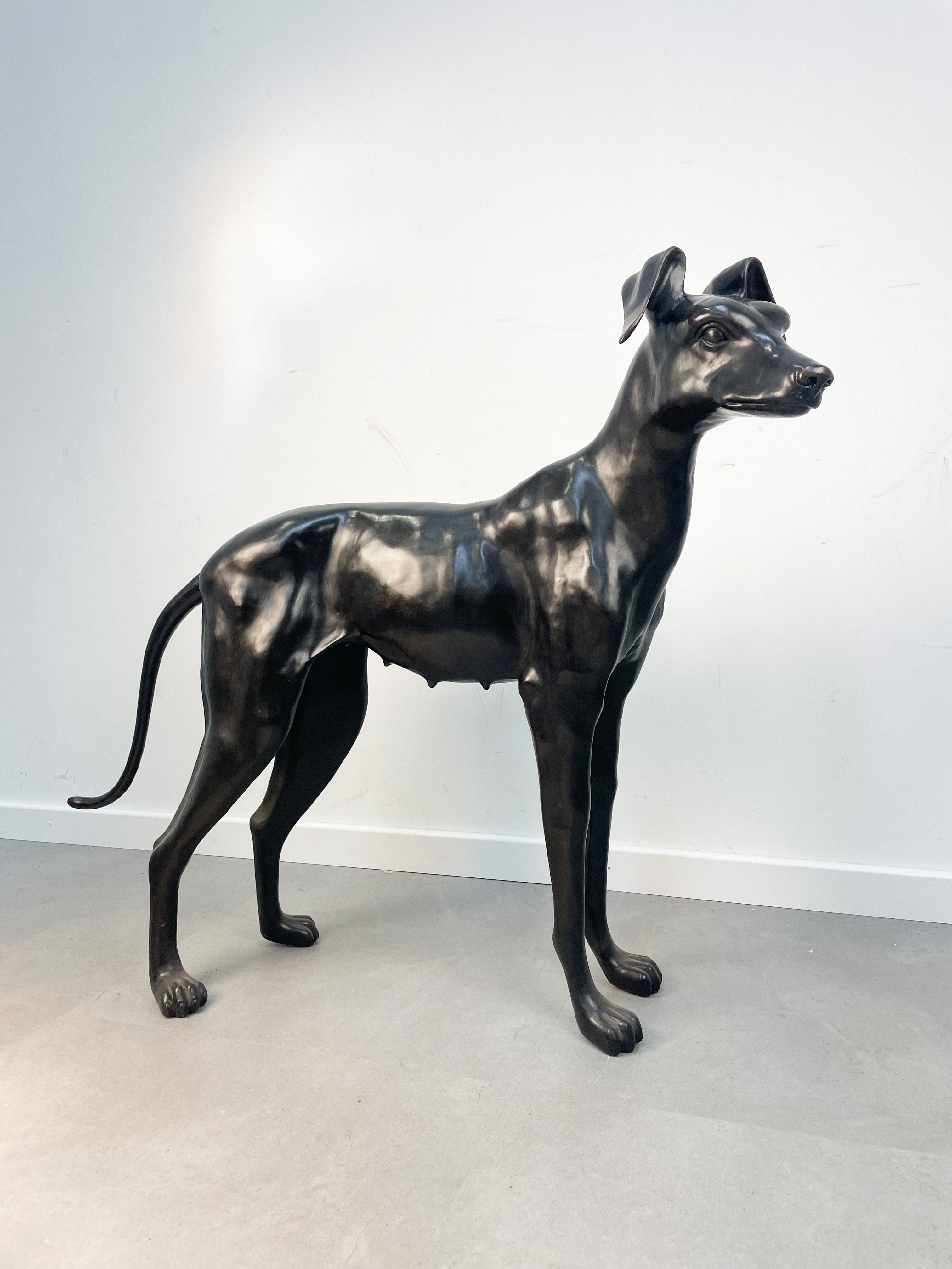 Lévrier en bronze, figurine réaliste