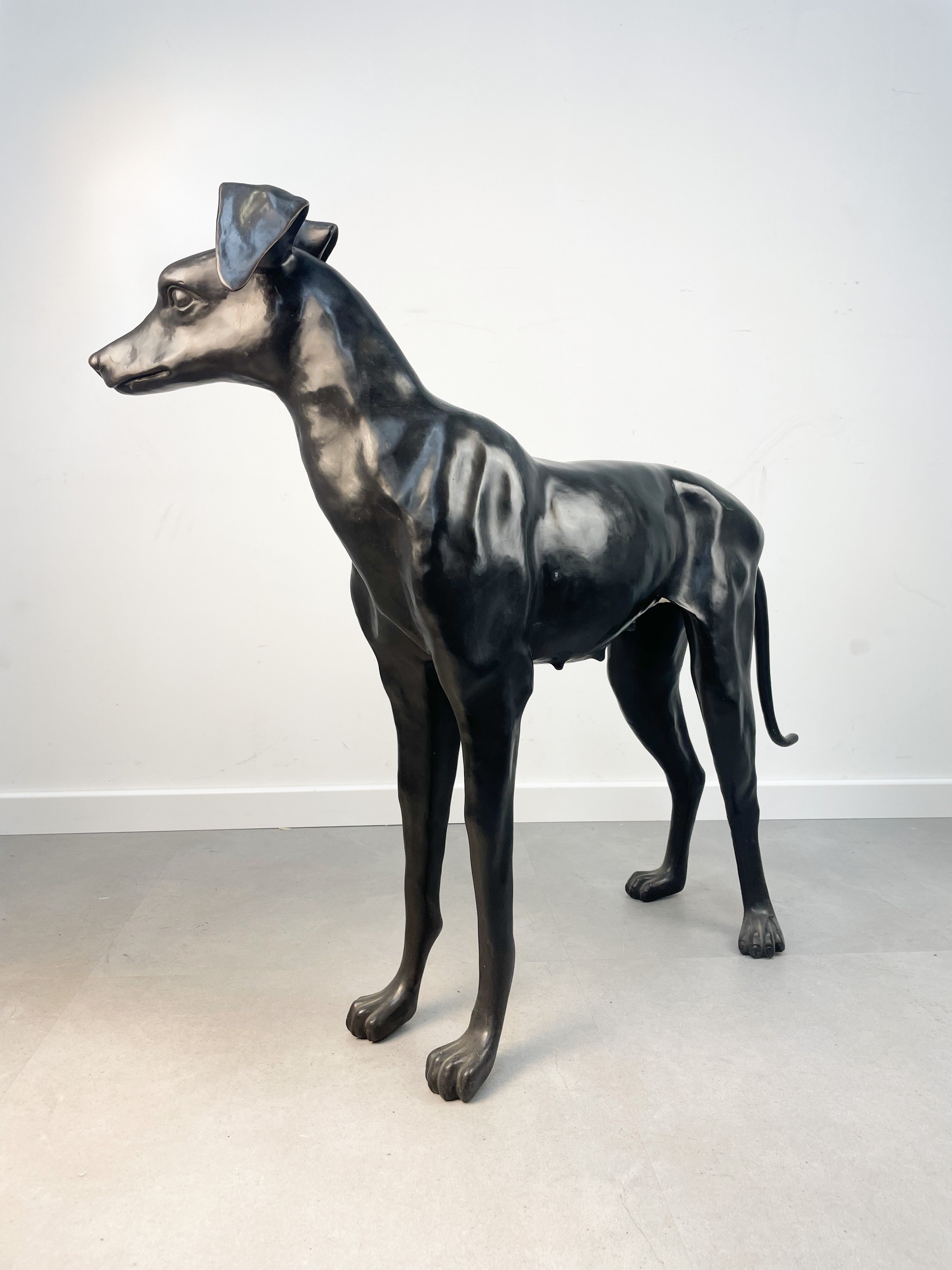 Bronze Greyhound Lifelike Figure