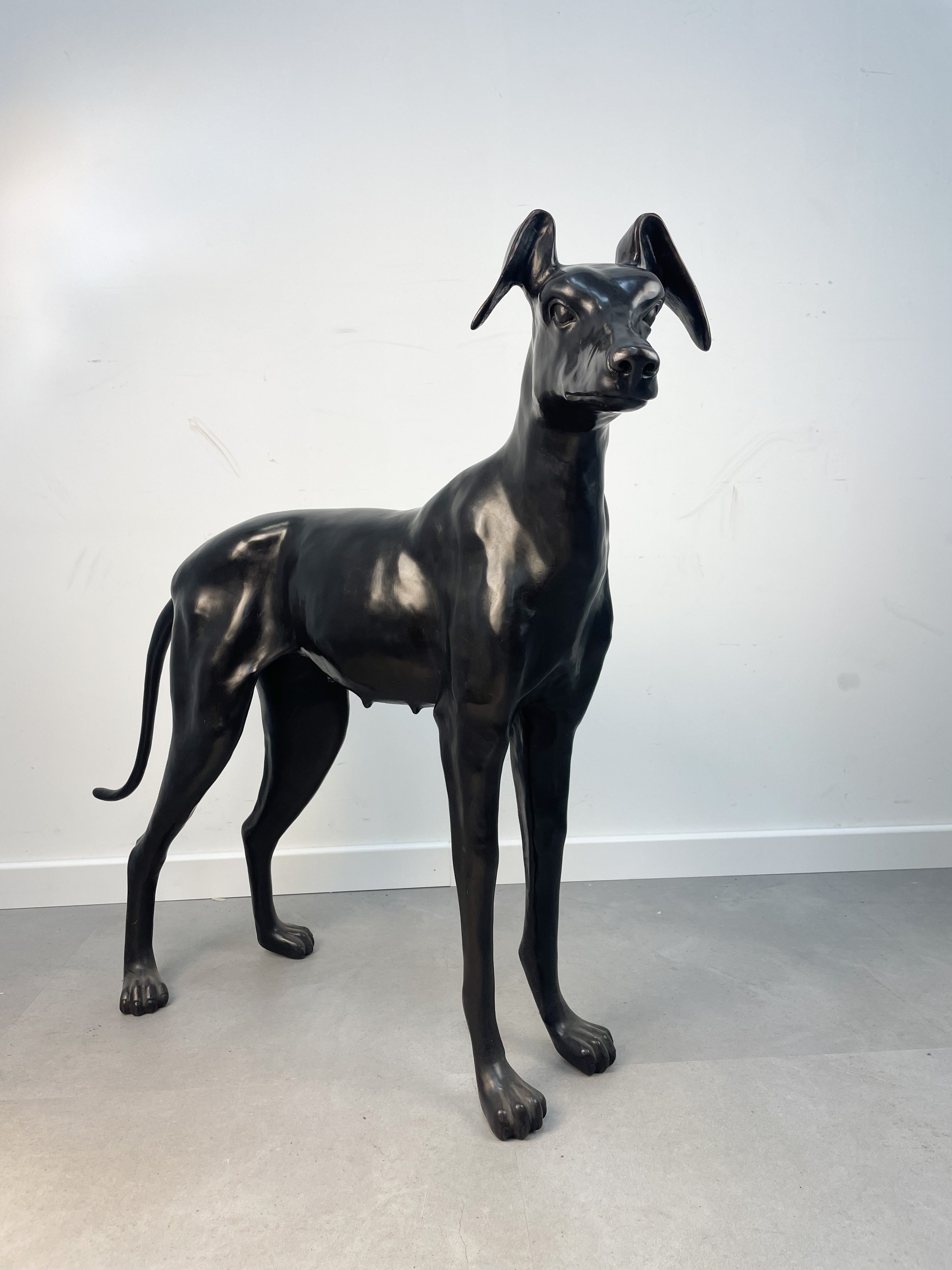 Lévrier en bronze, figurine réaliste